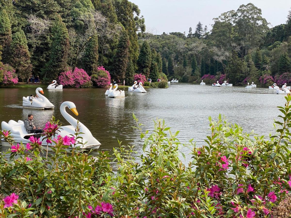 2 Suite, 1 Em Meio A Mata Araucaria A 1,5 Km Centro, Altos De Apartamento *