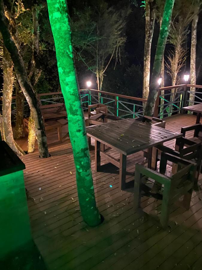 2 Suite, 1 Em Meio A Mata Araucaria A 1,5 Km Centro, Altos De