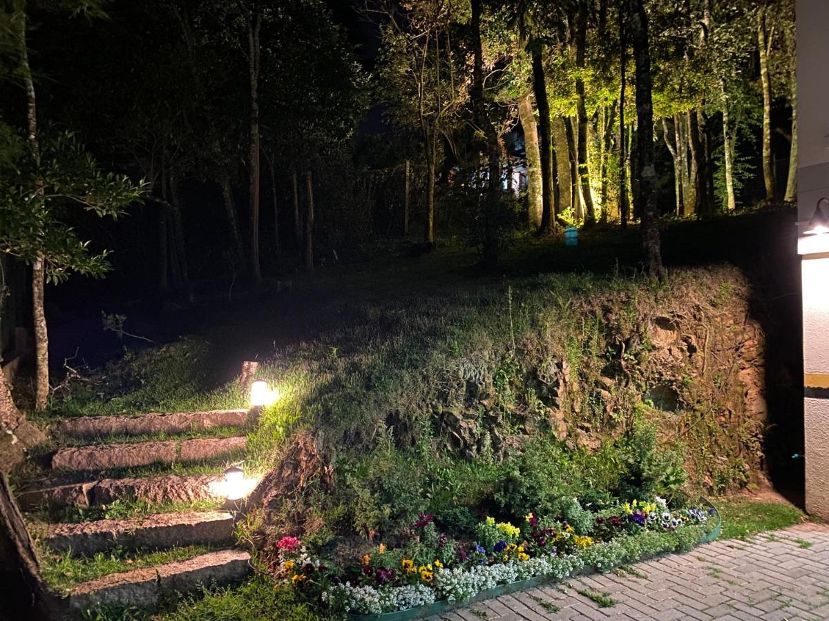 2 Suite, 1 Em Meio A Mata Araucaria A 1,5 Km Centro, Altos De Gramado