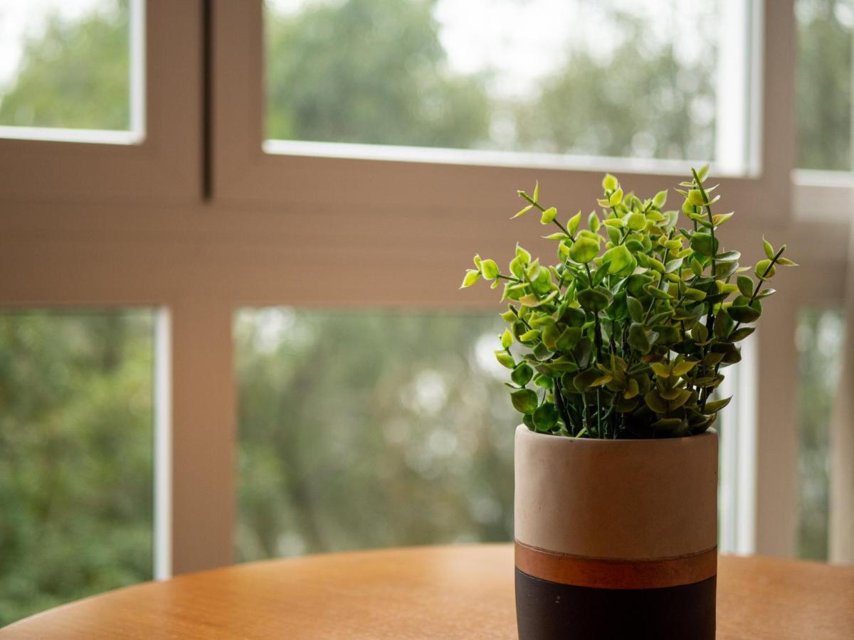 2 Suite, 1 Em Meio A Mata Araucaria A 1,5 Km Centro, Altos De Apartamento *